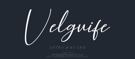A bold and distinctive font with playful curves and wide spacing, offering a lively and contemporary look.