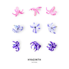 Hyacinth petals photography isolated on white background
