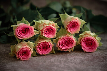 Bouquet of delicate pink roses on a dark background. The flowers lie in a group, creating an atmosphere of romance and natural beauty.