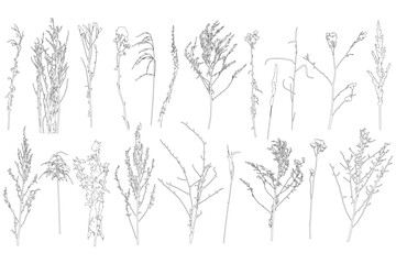 Set of contours different plants and weeds. Vector illustration.