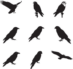 Fototapeta premium Collection of Bird Silhouettes in Various Poses