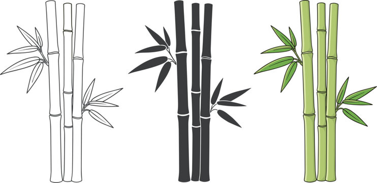 Bamboo stems with leaves in different styles isolated on white background outline, silhouette, and colored hand drawn vector illustration of bamboo