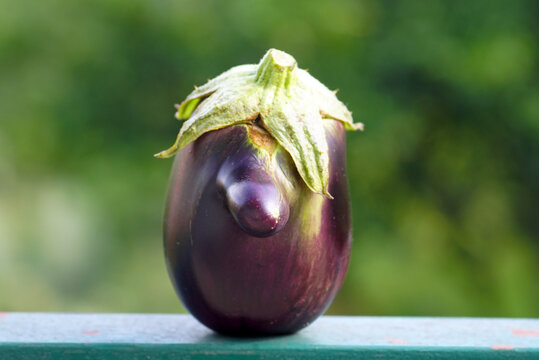 Funny misshapen eggplant with a face-like silhouette, featuring a protruding nose and a leafy cap. Represents playful vegetable pareidolia, food creativity, and anthropomorphic produce visuals.