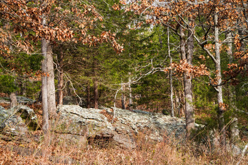 Winter landscape with rocks in eastern Oklahoma, large stones with brown oak trees and green pines
