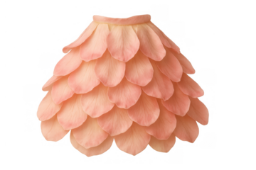 Skirt made from pink flower petals showing organic fashion, nature inspired design, and creative clothing concept