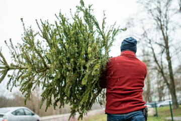 Naklejka premium Man is carrying a discarded Christmas tree on his shoulder through an urban park area in winter, signaling the end of the holiday season.