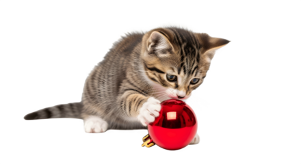 Adorable tabby kitten playing with a shiny red Christmas ornament.