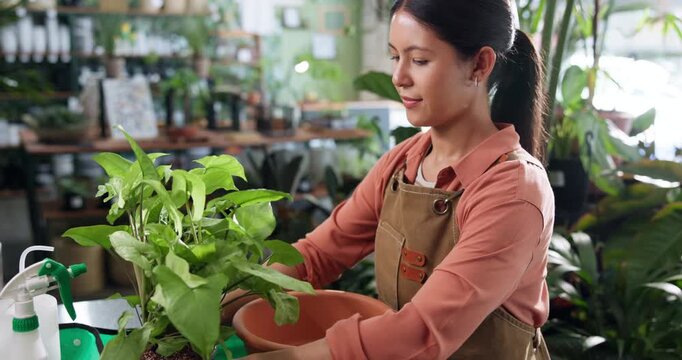 Woman, florist and pot plant at shop with smile, job and resize for root growth at sustainable startup. Person, botanist and small business with eco friendly, product or inventory management at store