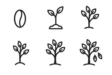 Tree Growth Icons. Forest Growth Progression linear set: seed kernel, tiny sprout, small stem, adolescent tree, established tree, seasonal leaf drop.