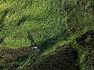 Aerial view of a solitary figure stands amidst the tall, swaying green grasses, casting a long shadow across the vibrant landscape, Binh Dinh, Binh Dinh, Vietnam.