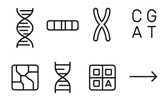 Genetic Blueprint Icons. Genetic Blueprint Set linear set: DNA helix, gene segment bar, chromosome pair, nucleotide bases, genome map tile, sequence ladder, codon block, heredity
