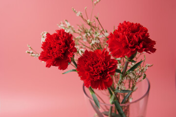 Red carnation flowers with vibrant petals against a soft pink background, symbolizing love, passion, and elegance. Perfect for floral themes, romantic concepts, and decorative designs.