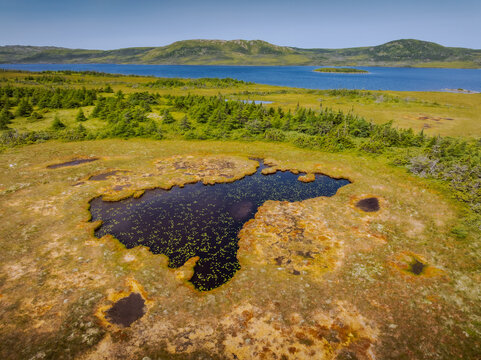 Wilderness of Burin Peninsula, Newfoundland 