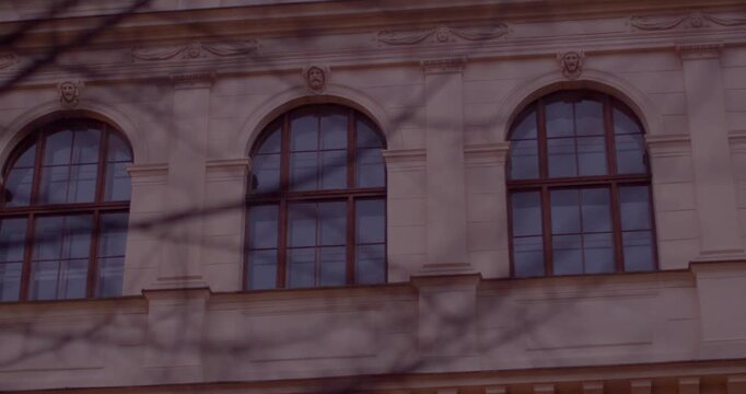 historic building facade with arched windows, winter bare branches casting soft shadows across stone exterior, ornate cornices