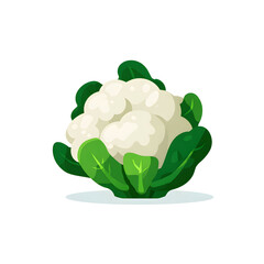 Fresh cauliflower vegetable with green leaves isolated on white background