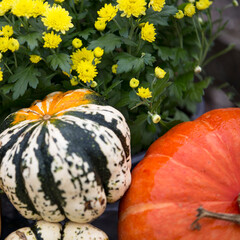 l&eacute;gumes d'automne 