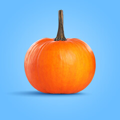 Fresh whole pumpkin on pale blue background. Gourd vegetable
