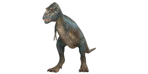 Tyrannosaurus Rex on a white background