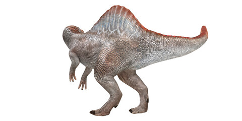 Spinosaurus dinosaur on a white background