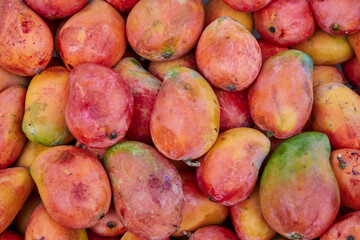 Ripe mangoes for sale at market mango