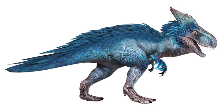 Blue-feathered dinosaur art illustration