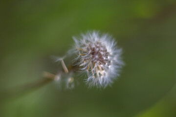 The beauty we encounter in nature but don't notice