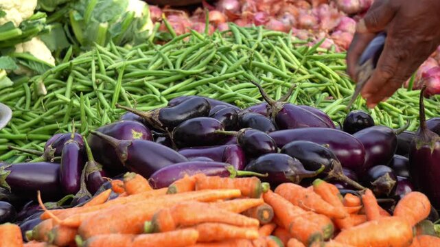 Indian vegetable market in south india. Fresh vegetables in the market with carrots, ripe eggplant and green beans etc.