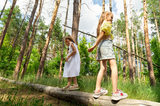 Children balancing standing on the log in forest - Powered by Adobe