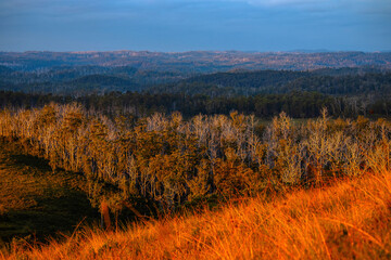 Fototapeta premium golden hour over the hills