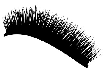 A black and white silhouette of a feather-like shape made of grass, black, broom, brush, comb, cosmetic, grass, illustration, lash, mascara, profile, against transparent background