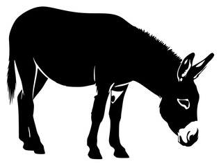 A black silhouette of a donkey grazing on a , animal, black, donkey, illustration, mule, profile, stand, against transparent background