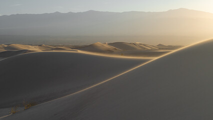 Desert background. Dunes in the middle of summer, sunset. Desolate, without people.