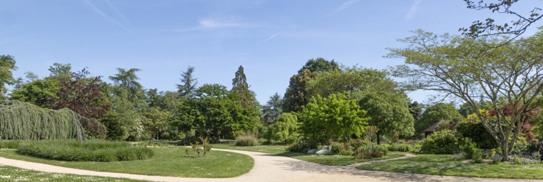 Parc paysager au printemps