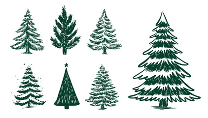 Obraz premium Christmas green trees set on white