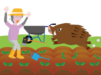 猪と出会って驚く女性