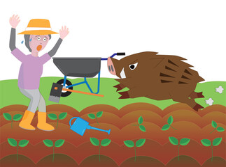 猪と出会って驚く女性