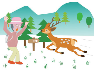 鹿と出会って驚く女性