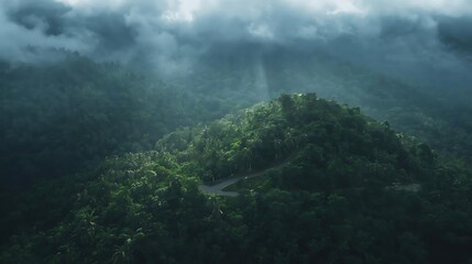 Drone-level panoramic view of a curving hillside roadway weaving through dense rainforest canopy, deep green foliage layered with humid haze, subtle sunlight breaking through clouds, atmospheric