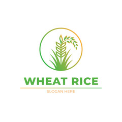 wheat rice logo design concept idea vector label circle
