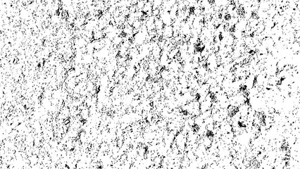 Dramatic black and white image of a majestic lion roaring powerfully into the darkness © Faurdaus