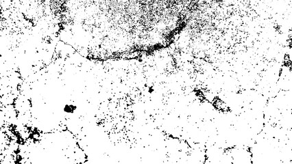 Dramatic black and white image of a majestic lion looking directly at the viewer