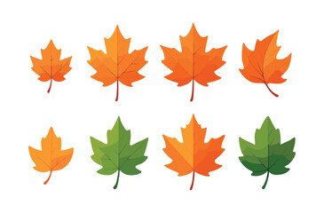 Obraz premium Autumn leaf collection, fall foliage, seasonal decor, flat vector illustration