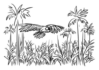 Flying parrot in tropical jungle vector illustration. Macaw bird gliding between palm trees. Rainforest nature sketch.