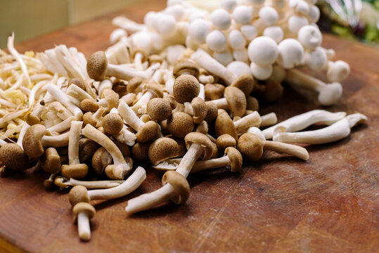 Setras shimeji hypsizygus marmoreus in kitchen with clear space background for text