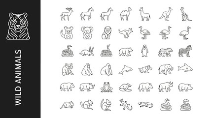 Modern vector outline icons of various wild animals, a sleek and solid graphic collection for nature themes, educational content, and digital design projects