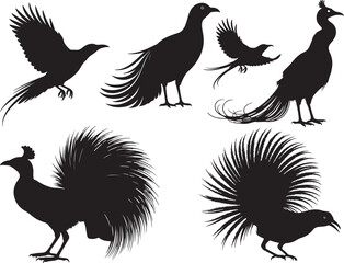Naklejka premium Paradise Bird Silhouettes