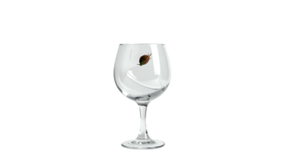 Digital illustration of a clear wine glass with a small insect floating inside