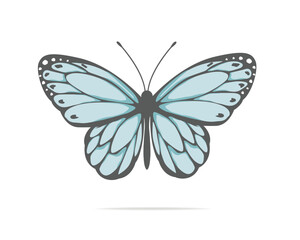 blue watercolor and butterflies illsutration	