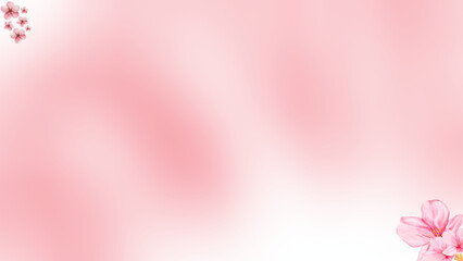 pink cherry blossoms with pink and white gradation as background and wallpaper