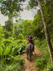 A man and a woman couple riding an elephant in the jungle in cloudy weather, rear view of the elephant